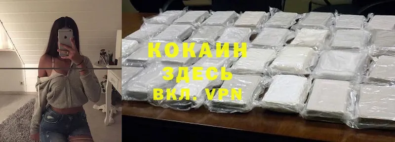 где купить наркотик  Балахна  ссылка на мегу маркетплейс  Cocaine FishScale 